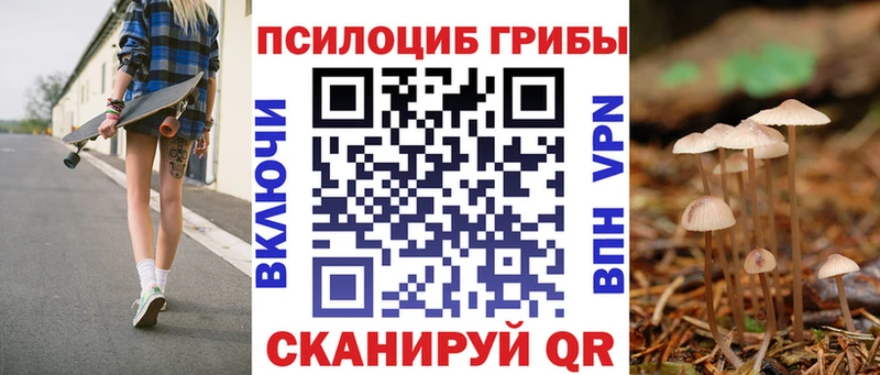 Галлюциногенные грибы прущие грибы  сколько стоит  площадка формула  Вольск 